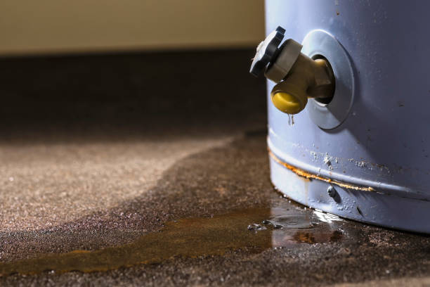 Best Mold removal after water damage  in Lemmon, SD