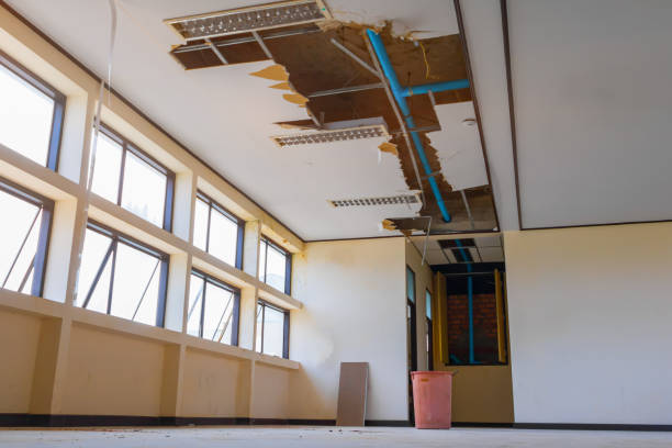 Best Ceiling water damage repair  in Lemmon, SD