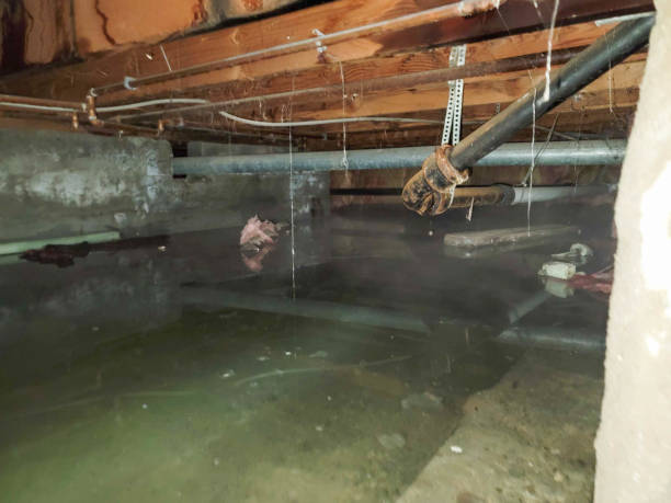 Fire Damage Restoration in Lemmon, SD