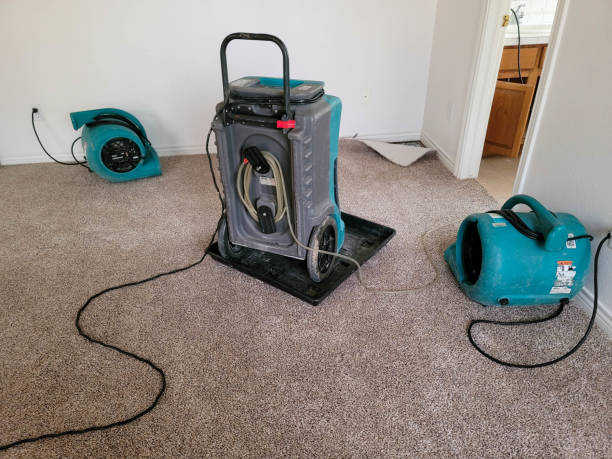 Best Flood damage cleanup  in Lemmon, SD