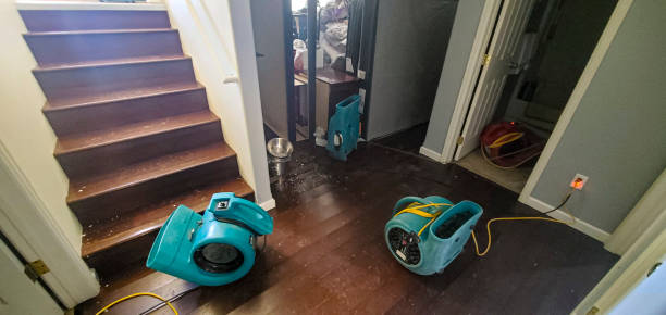 Best Water damage restoration process  in Lemmon, SD