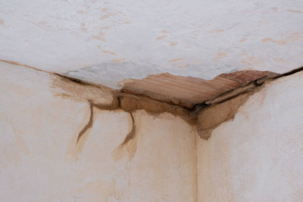  Lemmon, SD Water damage restoration Pros