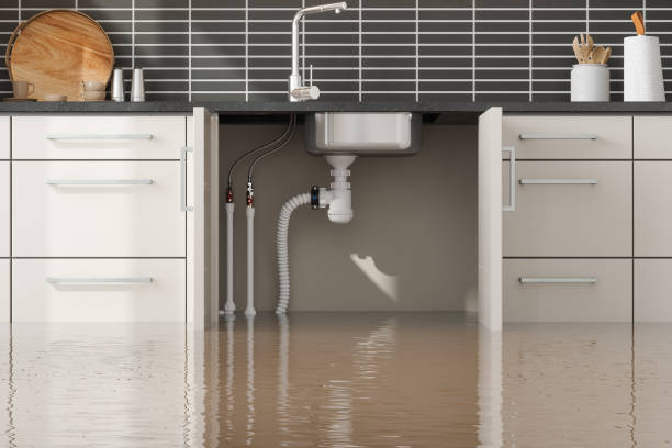 Best Water damage restoration insurance claims  in Lemmon, SD