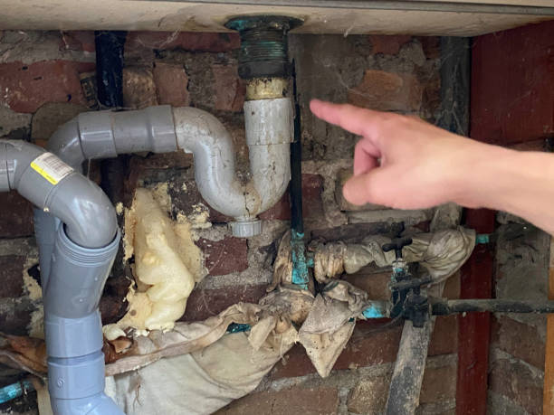 Best Carpet water damage restoration  in Lemmon, SD