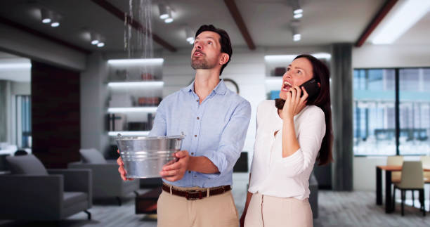 Best Water damage restoration near me  in Lemmon, SD